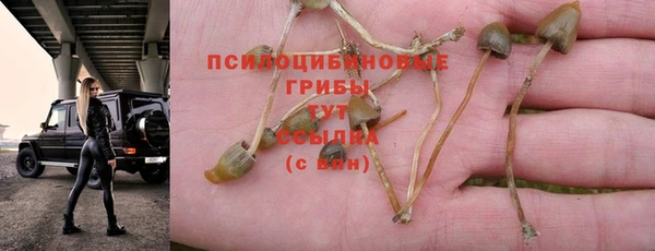 амф Вязьма