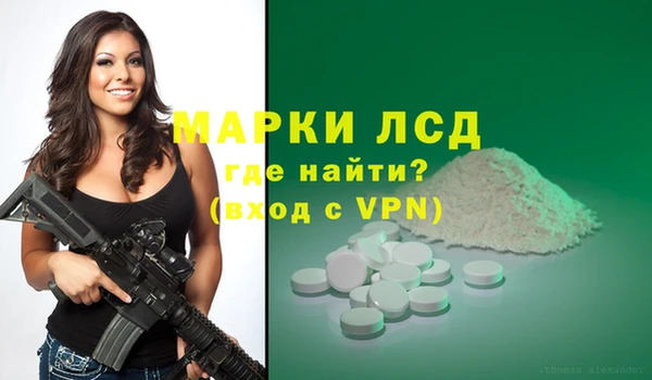 индика Вяземский