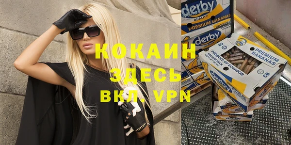 индика Вяземский