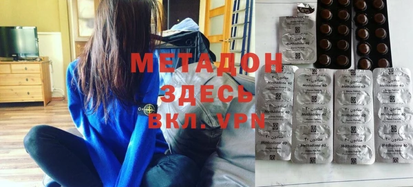 индика Вяземский