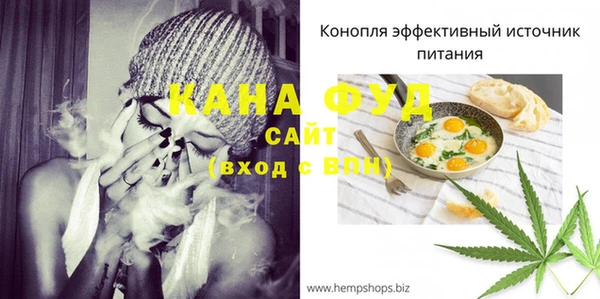 индика Вяземский