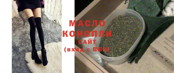 индика Вяземский