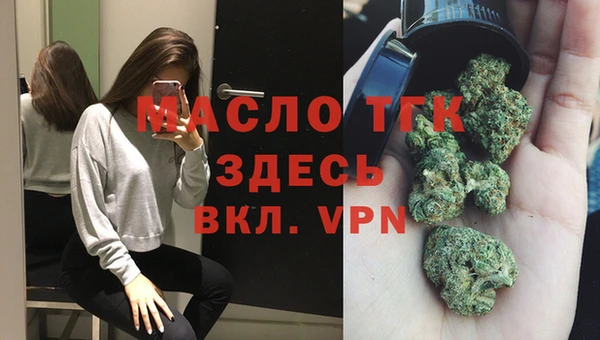 индика Вяземский