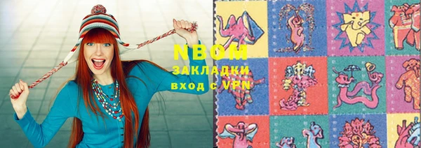 индика Вяземский