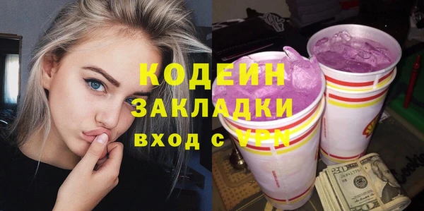 индика Вяземский