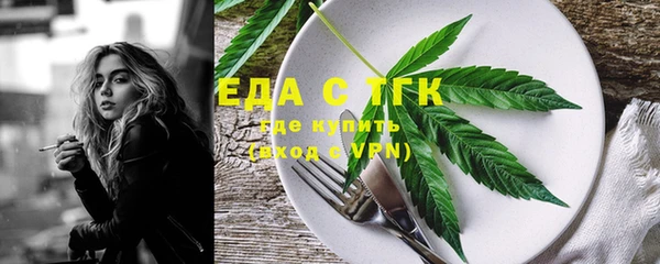 индика Вяземский