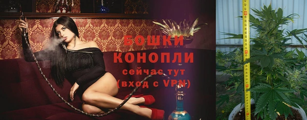 индика Вяземский