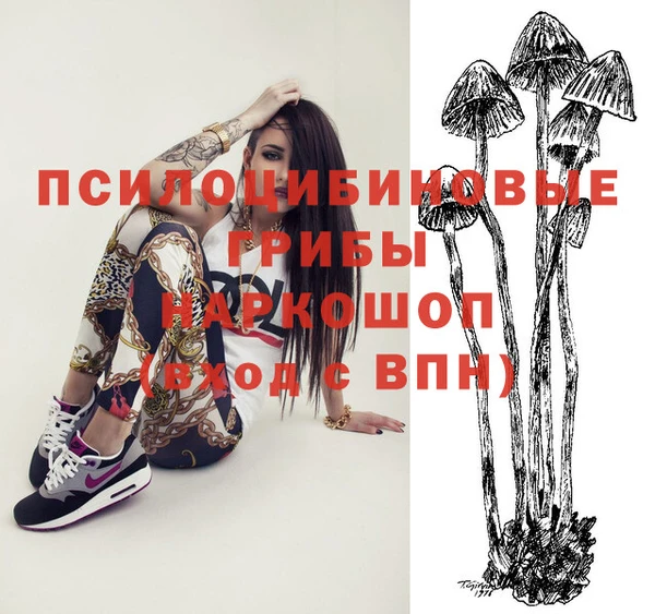 индика Вяземский