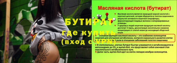 индика Вяземский