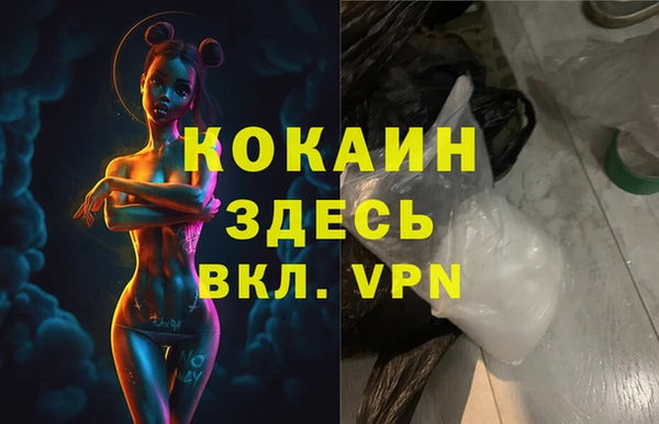 индика Вяземский