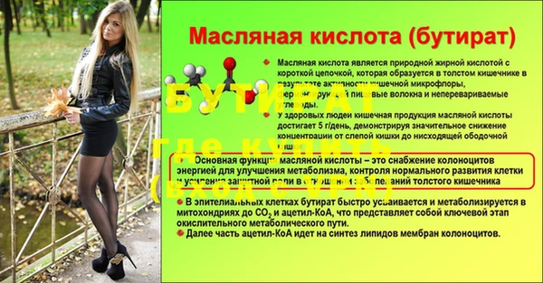 индика Вяземский