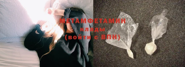 индика Вяземский