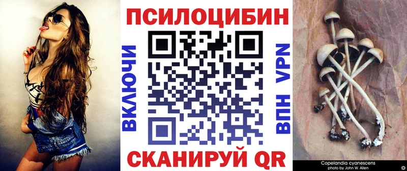 Псилоцибиновые грибы GOLDEN TEACHER  Купить где  Барабинск 